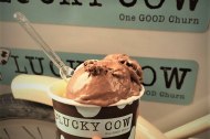 Lucky Cow