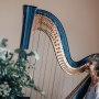 My fabulous new electro-acoustic harp
