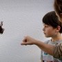 Meet and learn about Freddie our Australian Whites Tree Frog Meet and learn about Freddie our Australian Whites Tree Frog